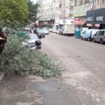 balikesirde-firtina-agaclari-devrildi-dL14KVxd.jpg