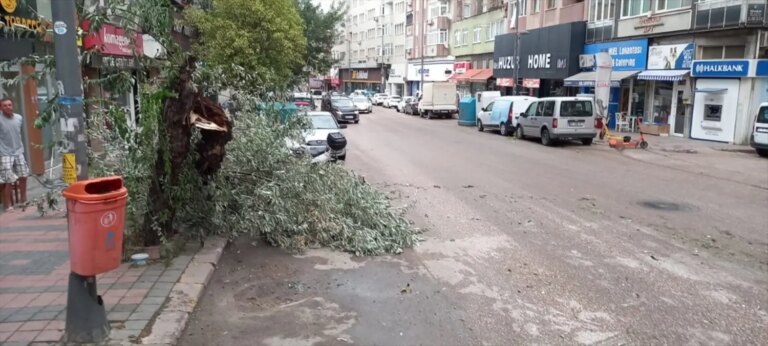 balikesirde-firtina-agaclari-devrildi-dL14KVxd.jpg