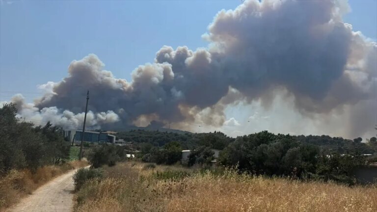 canakkalede-yangin-sondurme-mucadelesi-gznv7kjI.jpg