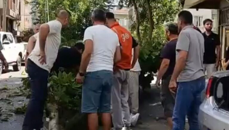 genc-dizi-oyuncusunun-uzerine-agac-dustu-yasam-mucadelesi-veriyor-VNqDIhJ5.jpg