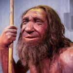 neandertallerin-avladiklari-devasa-hayvanlari-bilincli-olarak-curumeye-birakmalarinin-nedeni-nihayet-ortaya-cikti-cZTiwjmJ.jpg