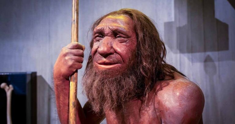 neandertallerin-avladiklari-devasa-hayvanlari-bilincli-olarak-curumeye-birakmalarinin-nedeni-nihayet-ortaya-cikti-cZTiwjmJ.jpg