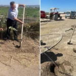 bursali-ogretmen-orman-yanginlarinda-kaybedilen-her-agac-yerine-10-fidan-dikiyor-rLvRNCAX.webp