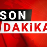 son-dakika-dso-m-ciceginin-acil-durum-statusunu-kaldirdi-QKuq839t.jpg