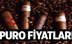 Puro Fiyatlari 1024x622K8v.jpg