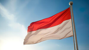 endonezyadan-kritik-uyari-hayatta-kalma-modundayiz-34pjkYEp