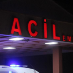 Babalar Günü’nde babasını katletti
