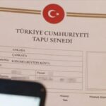 Bana bakacak deyip mirasini torununa birakmisti yargitay tapu devrini iptal etti fpSX7Ckz