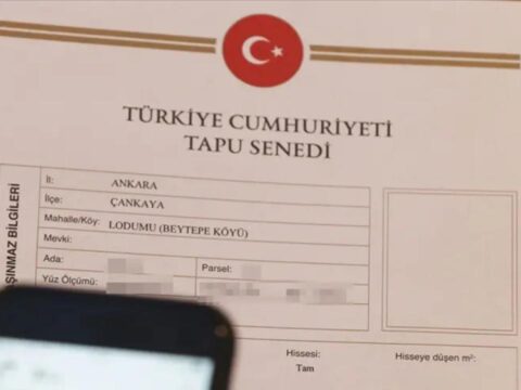 Bana bakacak deyip mirasini torununa birakmisti yargitay tapu devrini iptal etti fpSX7Ckz